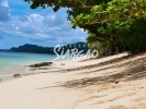 3,800 sqm White Sand Beach Front For Sale in Alegria Siargao