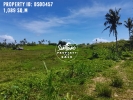 1,089 SQ.M Elevated Lot For Sale in Catangnan General Luna S