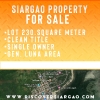 230 sqm Siargao Commercial or Residential Lot For Sale