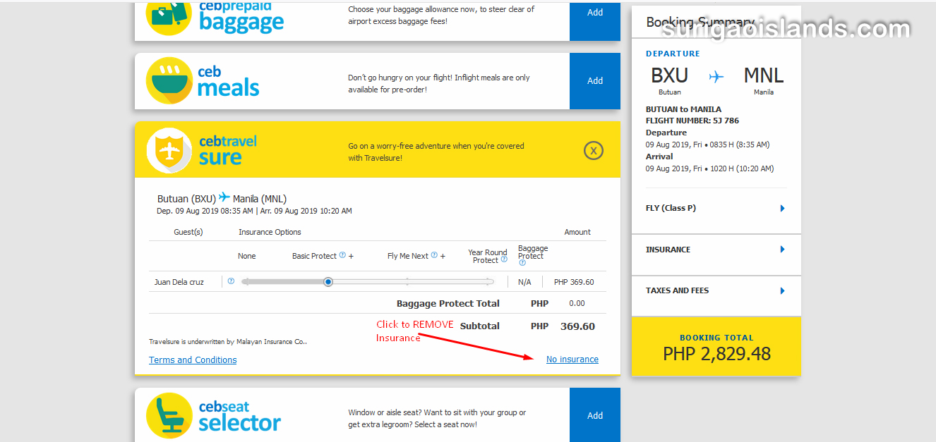 cebu to surigao flights | Cheap Air Flight Tickets